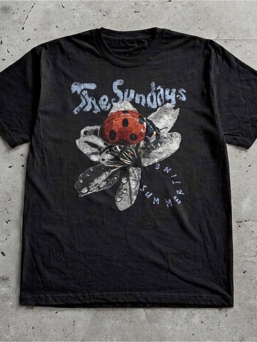 Gildan Black Tee with Red Ladybug Graphic